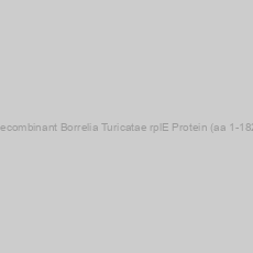 Image of Recombinant Borrelia Turicatae rplE Protein (aa 1-182)